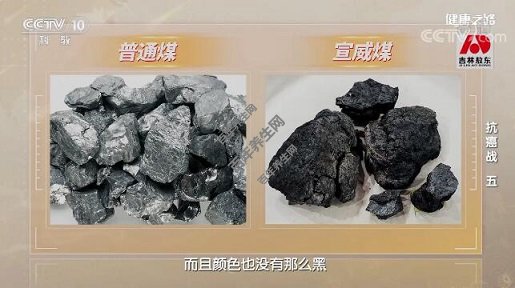 普通煤VS宣威煤