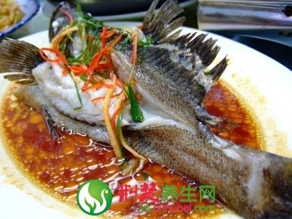 清蒸石斑鱼菜系 清蒸石斑鱼是哪里菜