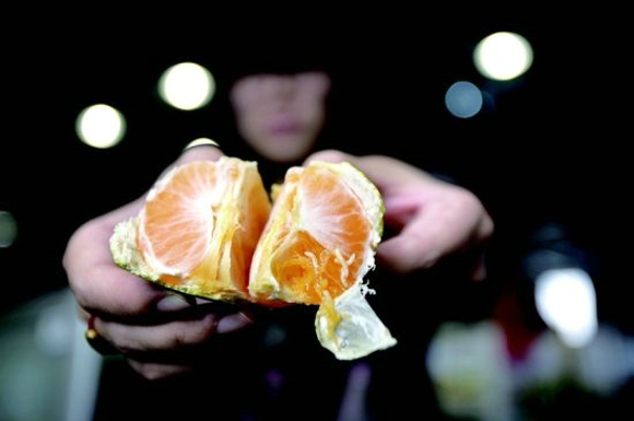 橘子里面吃出白色虫子 挑选橘子的方法
