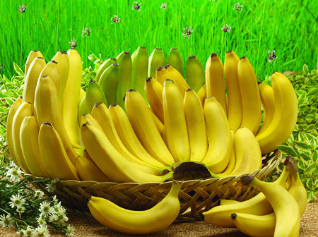 香蕉的营养价值 对精神分裂症的好处