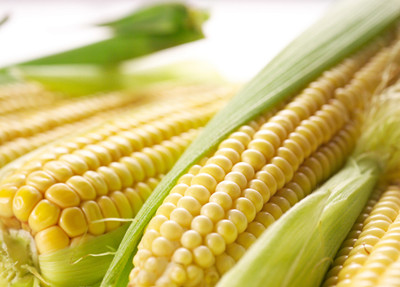常吃玉米能够预防皮肤癌和肺癌