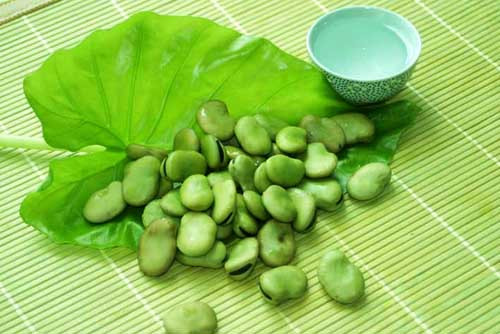 蚕豆的营养价值 吃蚕豆要注意什么