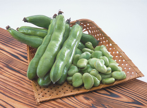 蚕豆的营养价值 蚕豆的使用方法及功效(4)