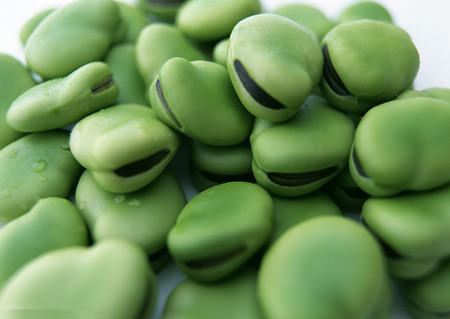 抗癌食品:多吃蚕豆增强新陈代谢