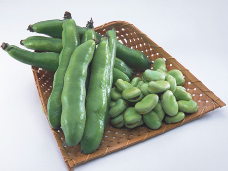 蚕豆的养分与食用