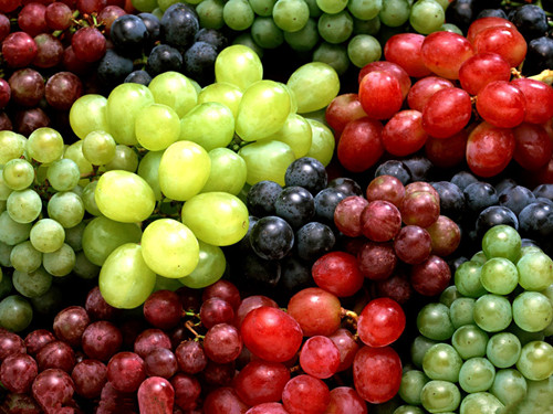 葡萄品种与营养无关 皆能防病健脾胃