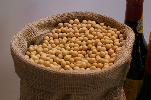 黄豆的10种显著保健功效