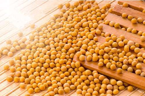 黄豆的多种功效  夏季抗癌美白吃黄豆