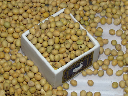 黄豆的多种功效  夏季抗癌美白吃黄豆(3)