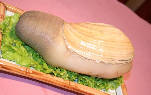 象拔蚌热销中国 详解象拔蚌的营养价值