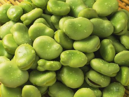 多吃蚕豆可增强记忆力 蚕豆营养成分