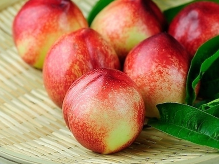桃子属于凉性还是热性 水果的温热寒凉属性