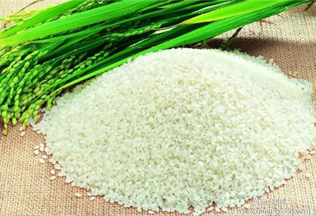 粳米的适用人群 粳米的食疗作用