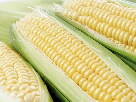 玉米怎么吃好 玉米的吃法介绍