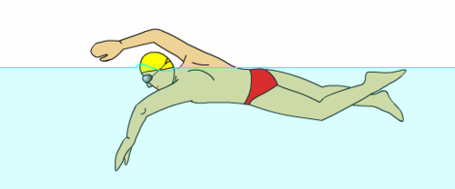 自由泳的动作要领图解 如何正确的自由泳