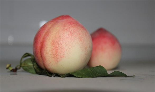 桃子能减肥吗 桃子美容瘦身的方法