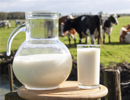 牛奶如何挑选 警惕牛奶的几大误区