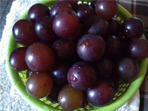 准妈妈们吃葡萄的禁忌 吃葡萄竟会导致呕吐