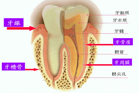 矫正牙齿的危害 牙齿矫正也有这些好处