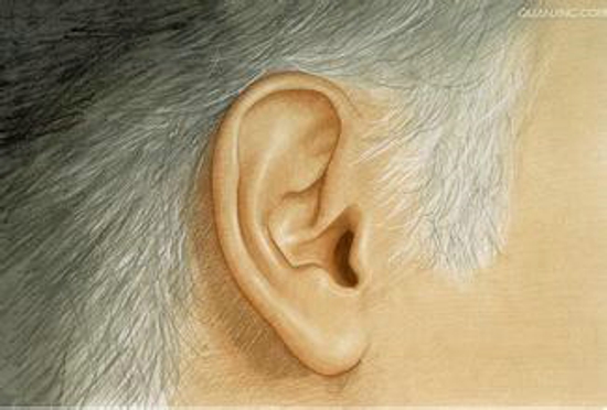 按摩耳朵有哪些作用 常搓耳朵能治疗高血压