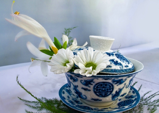 菊花茶的种类 菊花茶有什么作用
