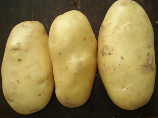 土豆对人体有什么好处 土豆应该怎么吃
