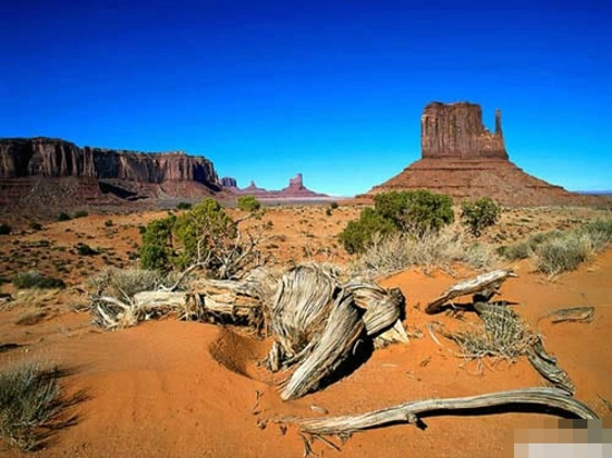 全球十大最壮观的沙漠绿洲 格外的宏伟壮观