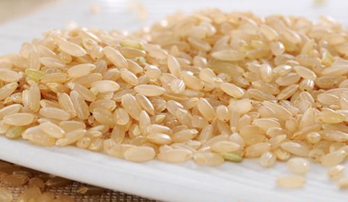 糙米的营养价值 糙米吃法