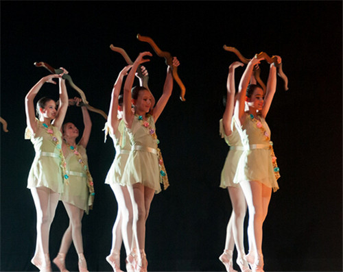 拉丁舞的基本要领 拉丁舞的几个舞种