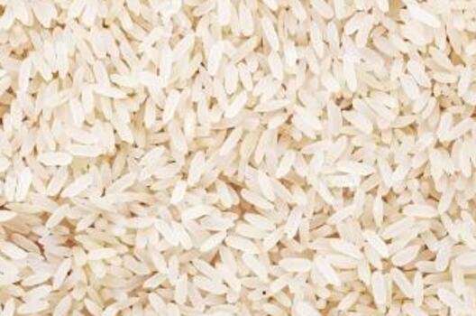 怎么保存米 如何保存米不生虫