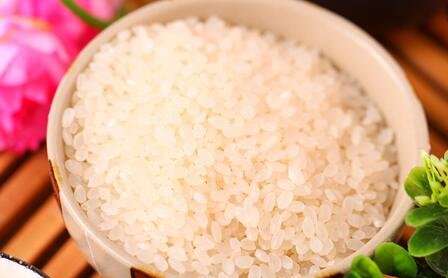粳米是什么米 粳米的功效与作用