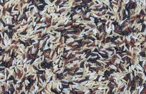 怎么保存米 如何保存米不生虫