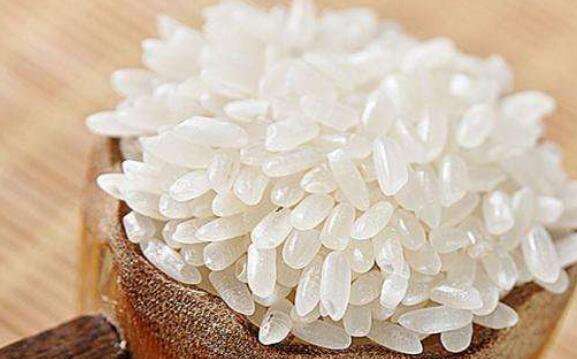 怎么保存米 米怎么保存不生虫