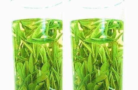 毛峰茶的功效与作用 毛峰茶的副作用