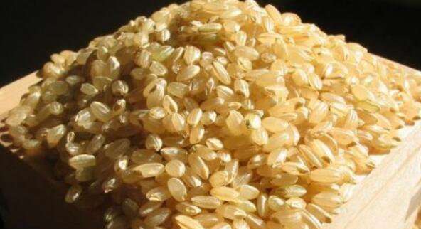 红糙米和白糙米的区别