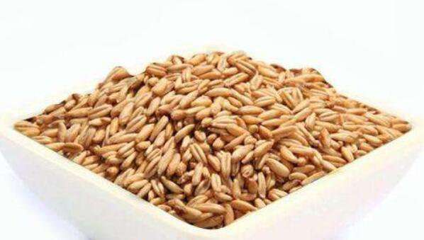 长期吃燕麦的好处与坏处
