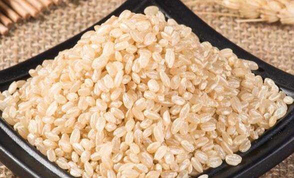 糙米怎么吃好 糙米的最佳吃法