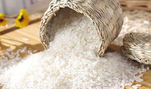 绿色大米的功效与作用 绿色大米的危害