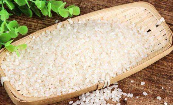 绿色大米的功效与作用 绿色大米的危害