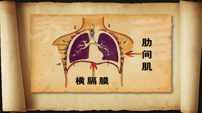 2015年4月16日播出《“七情”致病亦治病—4》