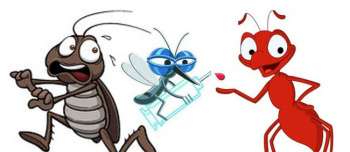 蚂蚁怕酸、蚊子怕辣、蟑螂怕香！低成本驱虫妙法