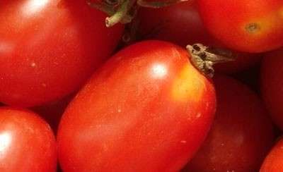 西红柿中的番茄红素