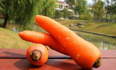 胡萝卜含有丰富的胡萝卜素