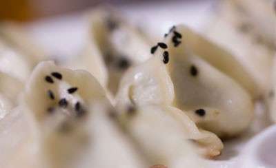 茴香菜饺子