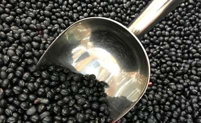 黑豆含有丰富的低聚糖
