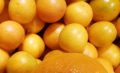 橘子的新鲜吃法有哪些
