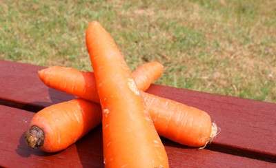 我们都知道胡萝卜的营养价值是比较的丰富的