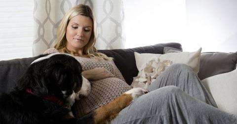 怀孕期间可以养狗吗
