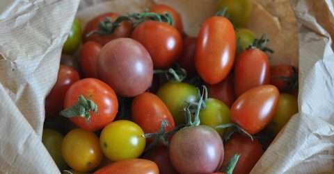 晚上吃小番茄可以减肥吗