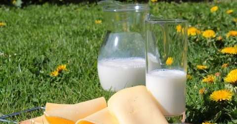 牛奶减肥用什么牛奶